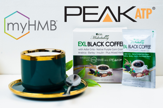 Understanding the Role of MyHMB and PeakATP