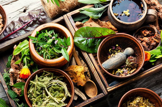 What to Check Before Buying Herbal Supplements in the Philippines