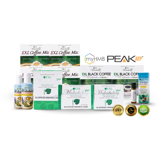 EXL Starter Kit (Best-Seller)